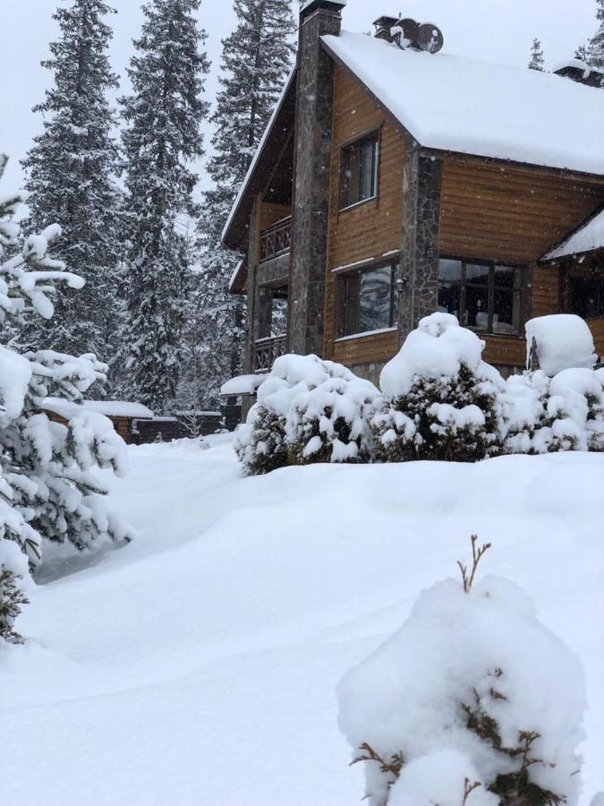 Дома для отпуска L-hutir Cottage №2 Микуличин