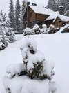 Дома для отпуска L-hutir Cottage №2 Микуличин-3